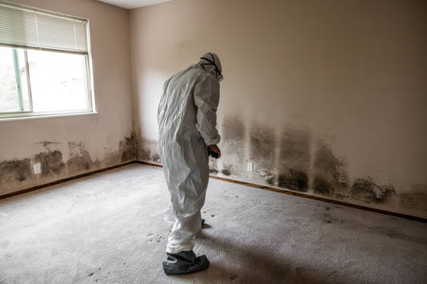 Forensic Mold Investigation in Oneida, NY